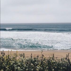 Meet your Posher, Mia